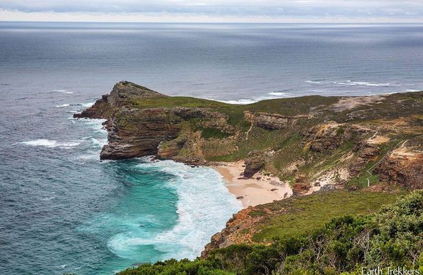 Cape Peninsula Full Day Tour