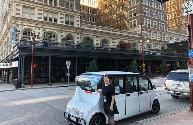 Private Sightseeing Cart Tour of Houston