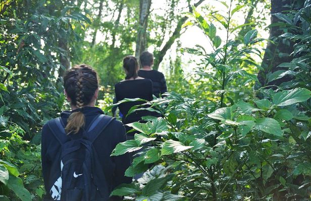 Chitwan National Park Jungle Safari Tour Package from Kathmandu