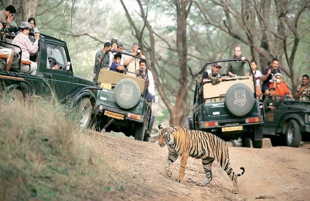 Golden Triangle Tour With Safari ( Ranthambore )8 Days Tour.