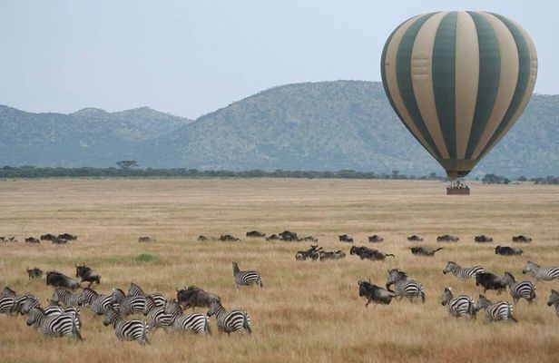 4 Days Kenya Safari