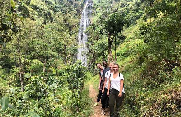Materuni Waterfalls 