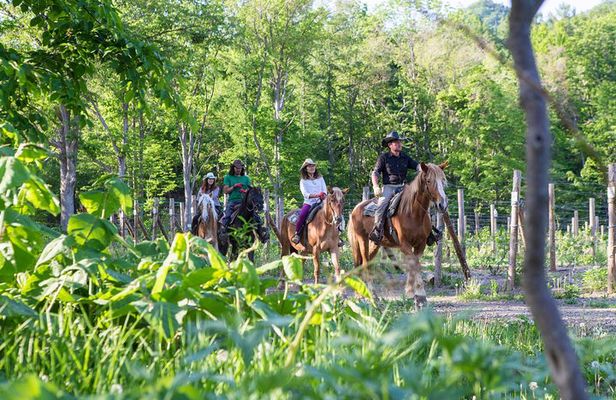 Horseback-Riding in a Country Side in Sapporo - Private Transfer is Included
