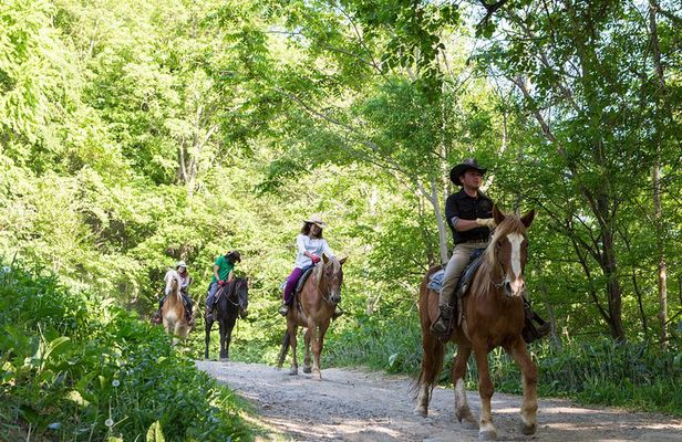 Horseback-Riding in a Country Side in Sapporo - Private Transfer is Included