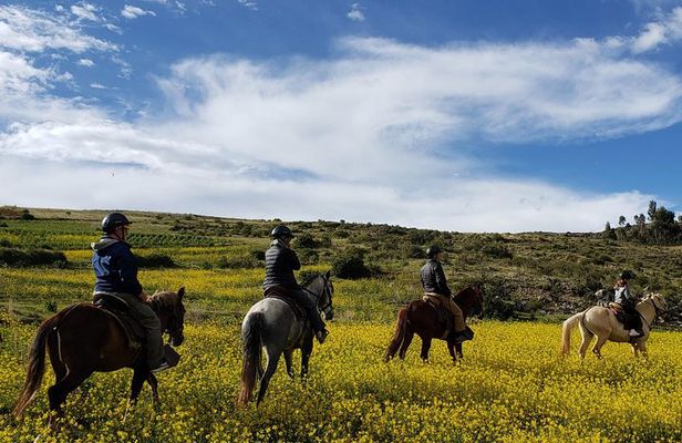 Horseback riding in Cusco to the Temple of the Moon