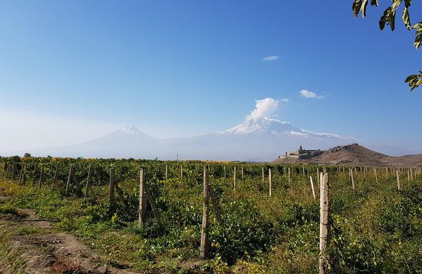 Day trip to: Khor Virap-Areni Winery-Noravank