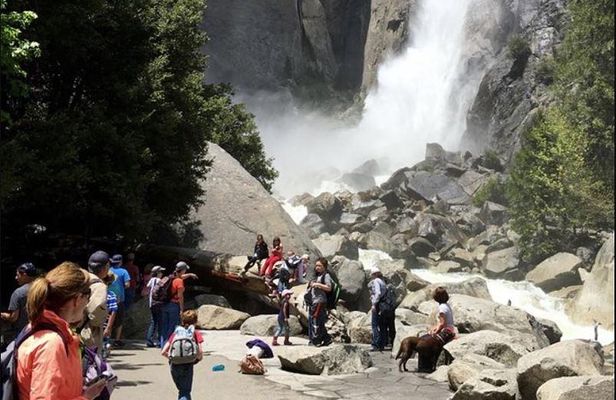 Yosemite and Giant Sequoias Day Trip