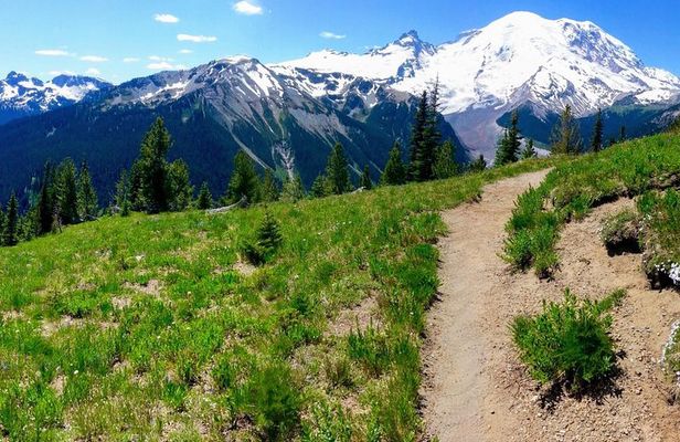 Hike Mt. Rainier & Taste Yakima Valley Wine: All-Inclusive Day Tour from Seattle