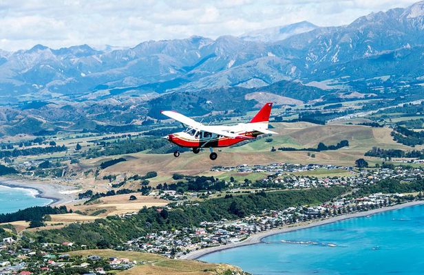 Air Whale Watching in Kaikoura