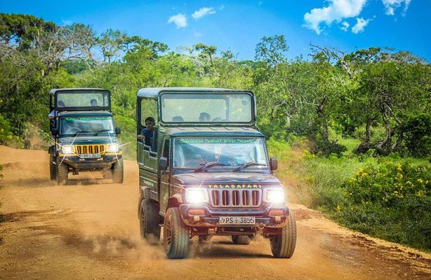 2 days yala National Park From Colombo with of Jeep Safari