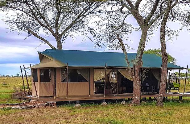 5 Days Tanzania Tented Camp Safari