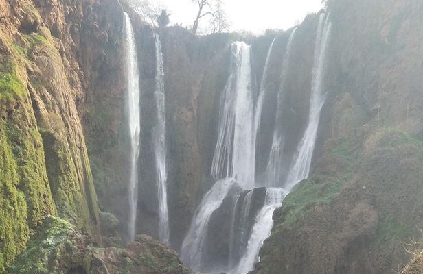 Ouzoud Waterfalls day tour from Marrakech