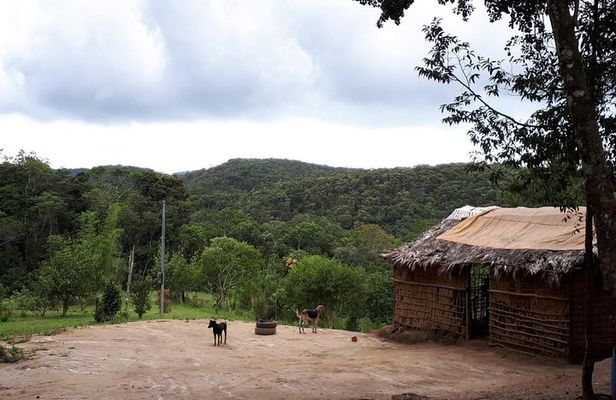 Guarani Tribe Experience: Experience in indigenous villages