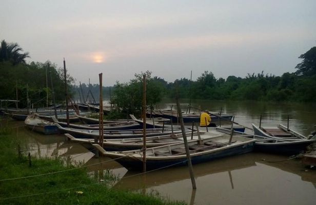 Nature At The Riverbank, Fireflies Watching By Row Boat (Guided)