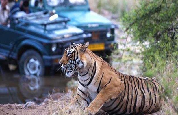 Golden Triangle Tour With Tiger Safari at Ranthambore 7 days