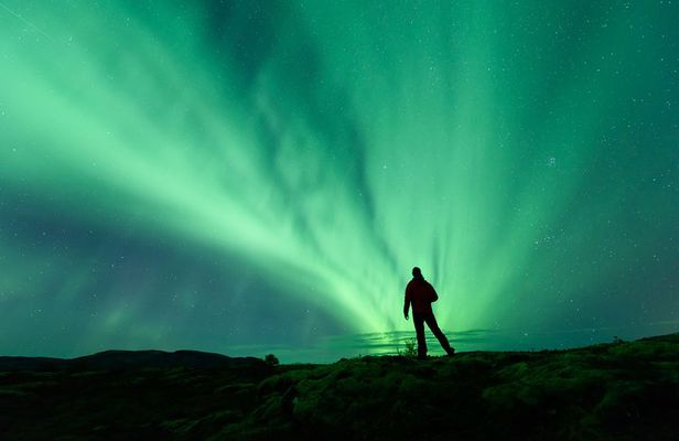 Northern Lights Guided Bus Tour from Reykjavik