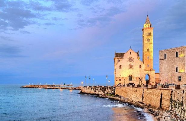 TRANI and Castel Del Monte UNESCO from your accomodation