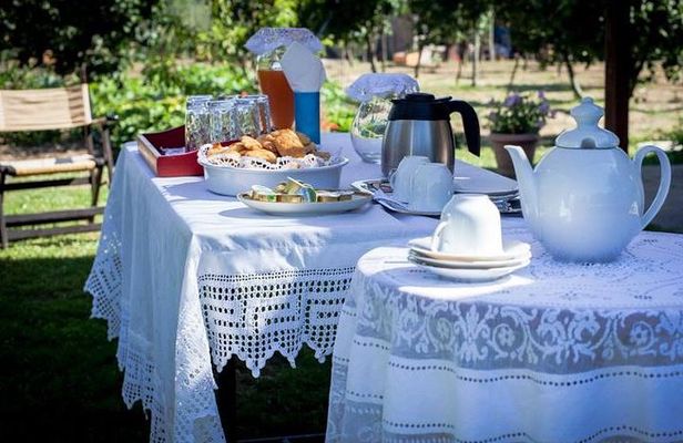 Olympia Shore Ex: Ancient Olympia, Honey Farm & Olive Oil Tasting