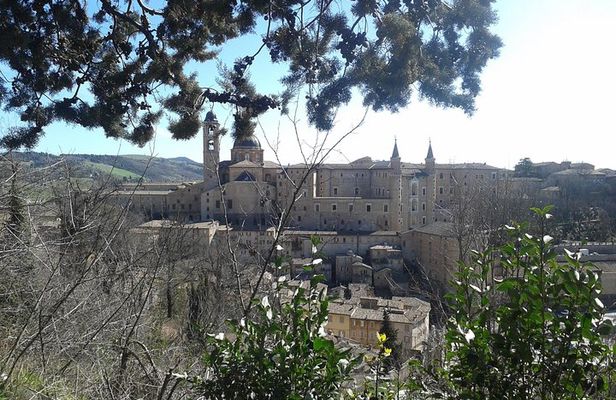 Visit of the Ducal Palace of Urbino