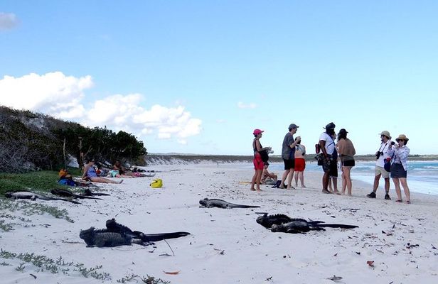 Ecuadorian Experience Quito - Galápagos 8 DAYS 7 NIGHTS
