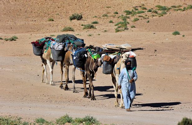 4 Days Hiking To Desert