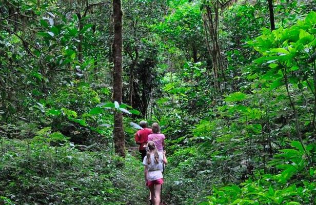 Sinharaja Trekking Day Trip - Private & All Inclusive