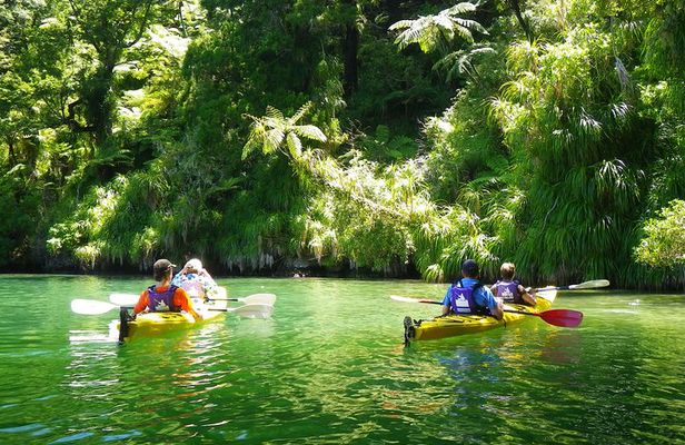 Half-Day Guided Sea Kayak Trip from Picton