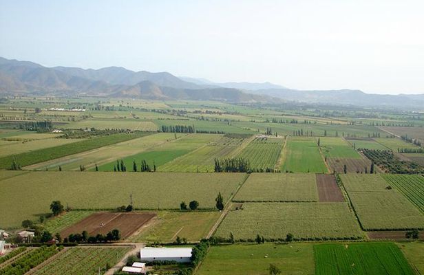 Santiago Full day tour to Casablanca Valley, include entraces for 2 vineyard.