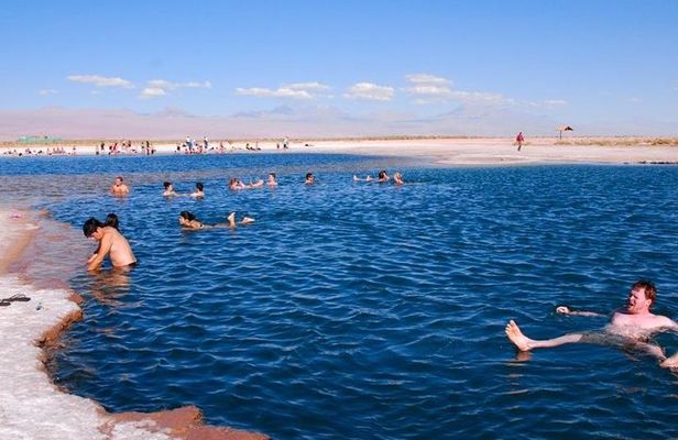 San Pedro de Atacama: Half day Cejar Lagoon afternoon tour.