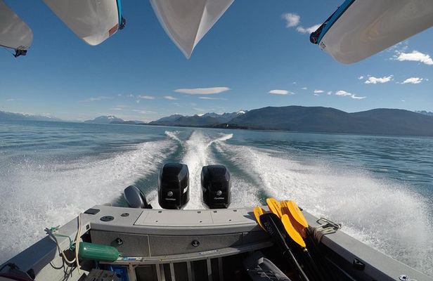 Paddle with Whales Kayak Adventure Juneau