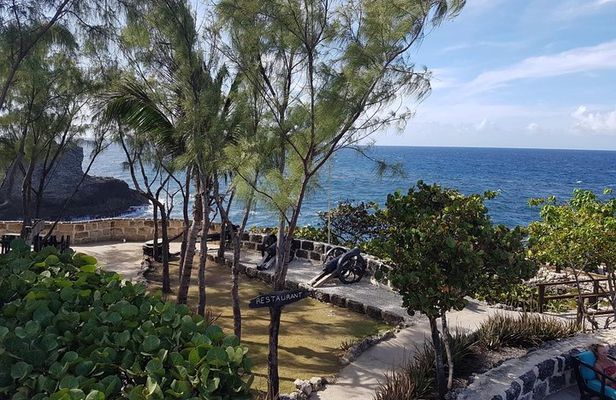 Barbados Half Day Private Tour