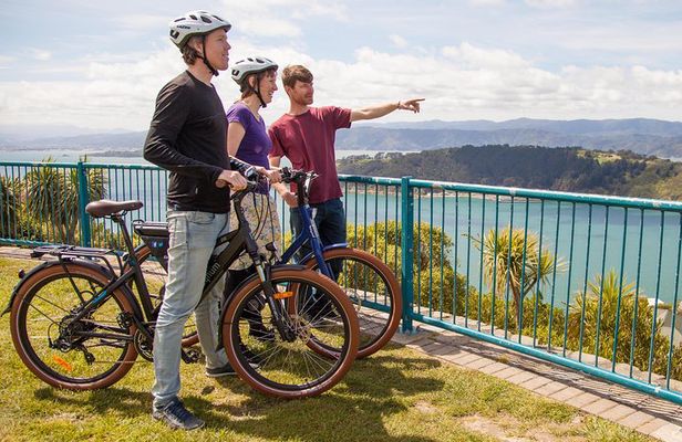 Guided Wellington Tour by Electric Bike