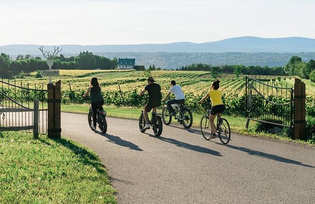 Quebec City - Guided E-Bike Tour & Tastings - Ile d'Orléans