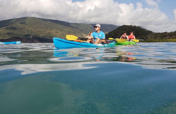 Kayak Turtle Tour from Palm Cove