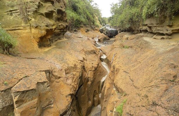 Day tour to Hells Gate Park and Lake Naivasha