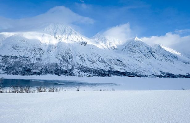  Arctic fjord and Landscape Tour