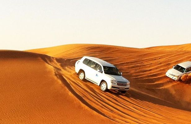 Premium Desert Safari, Barbeque, 3 Shows, Camel ride, Sand-board at Bedouin camp