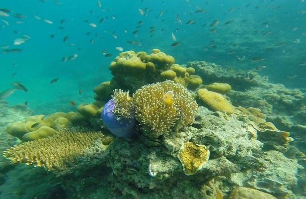 Snorkeling Tour to 4 Islands(Emerald Cave) From Koh Lanta by Speedboat