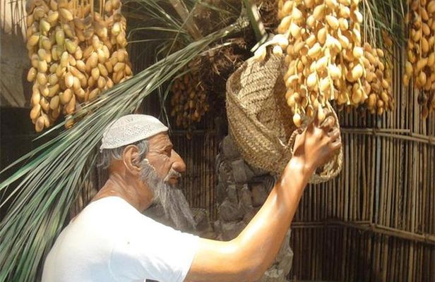 Historical Dubai City Tour