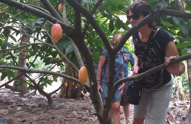 2-Day Mekong Delta with Cai Cang Floating Market from HCM City