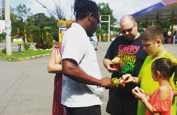 Kingston Day Tour with Bob Marley Museum Experience from Ocho Rios
