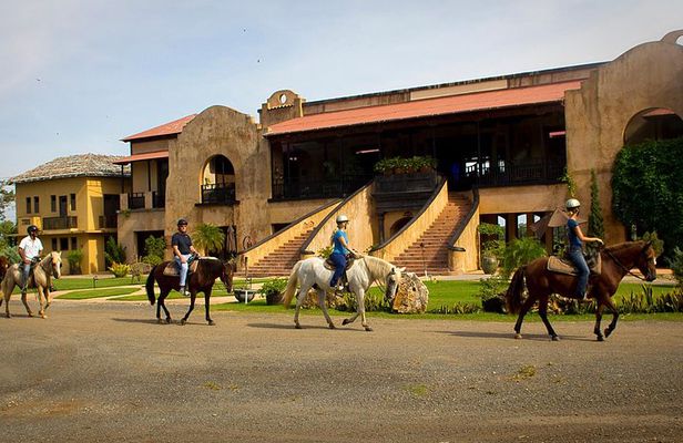 Horseback Riding Tour at Private Ranch