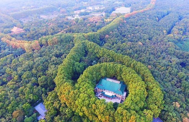 All-Inclusive Nanjing Purple Mountain Scenic Area Private Day Tour