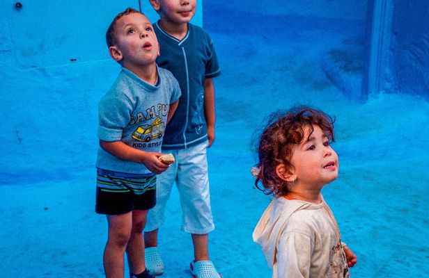 Chefchaouen Guided Tour from Fez with Skip the Line Access