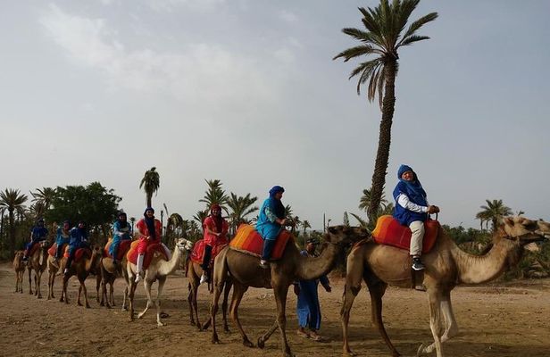Camel Ride & Quad Bike tours in the palm grove of Marrakech