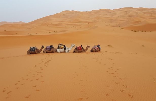 4 Days Desert tours from Marrakech