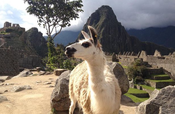 2 Day Sacred Valley Tour & Machu Picchu