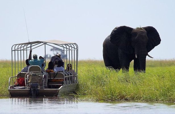 Chobe National Park Safari Full Day-trip