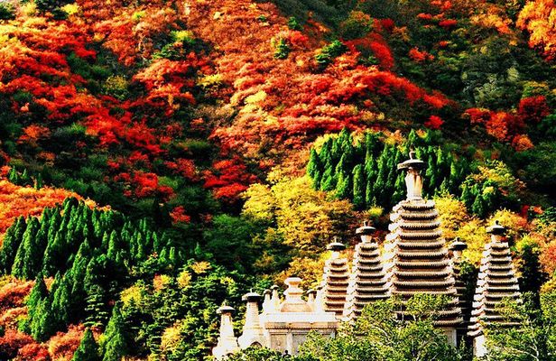 Beijing Private Tour to Fragrant Hill and Temple of Azure Clouds with Cable Car