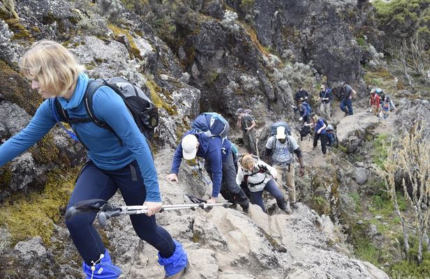Machame Route 6 days 5 Nights/Kilimanjaro Climb